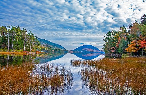 Gulin, Sylvia 아티스트의 USA-New England-Maine-Acadia National Park and Jordon Pond on very calm Autumn day작품입니다.